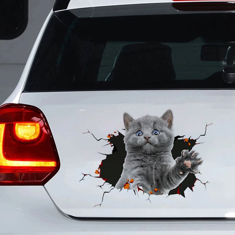 Klistermærke til bil - kat