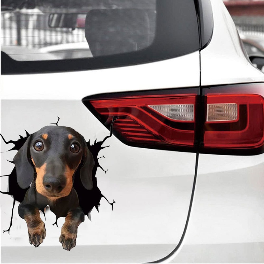 Klistermærke til bil - Hund med et nuttet look