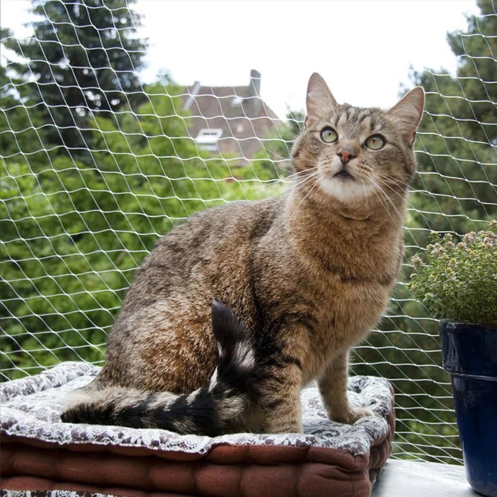 Sikkerhedsnet til kat