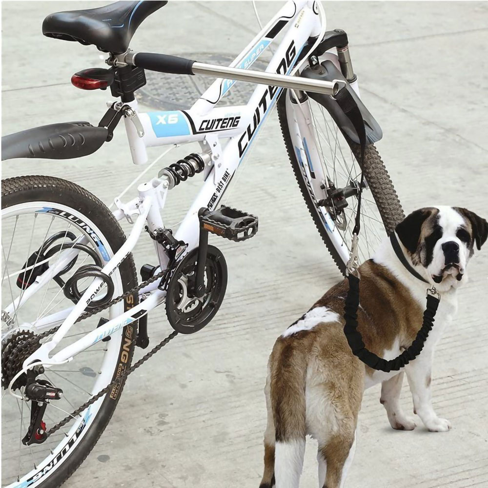 Cykelholder med snor til hund