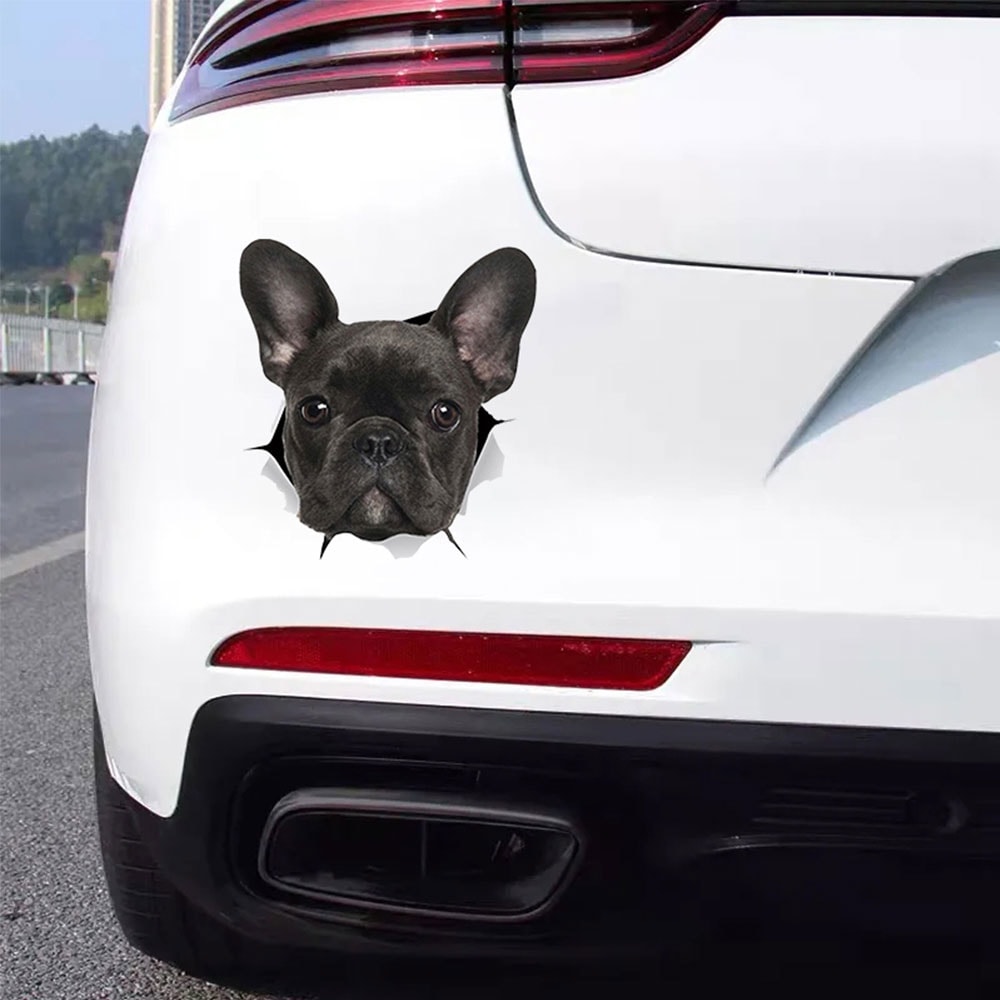 Klistermærke til bil fransk bulldog