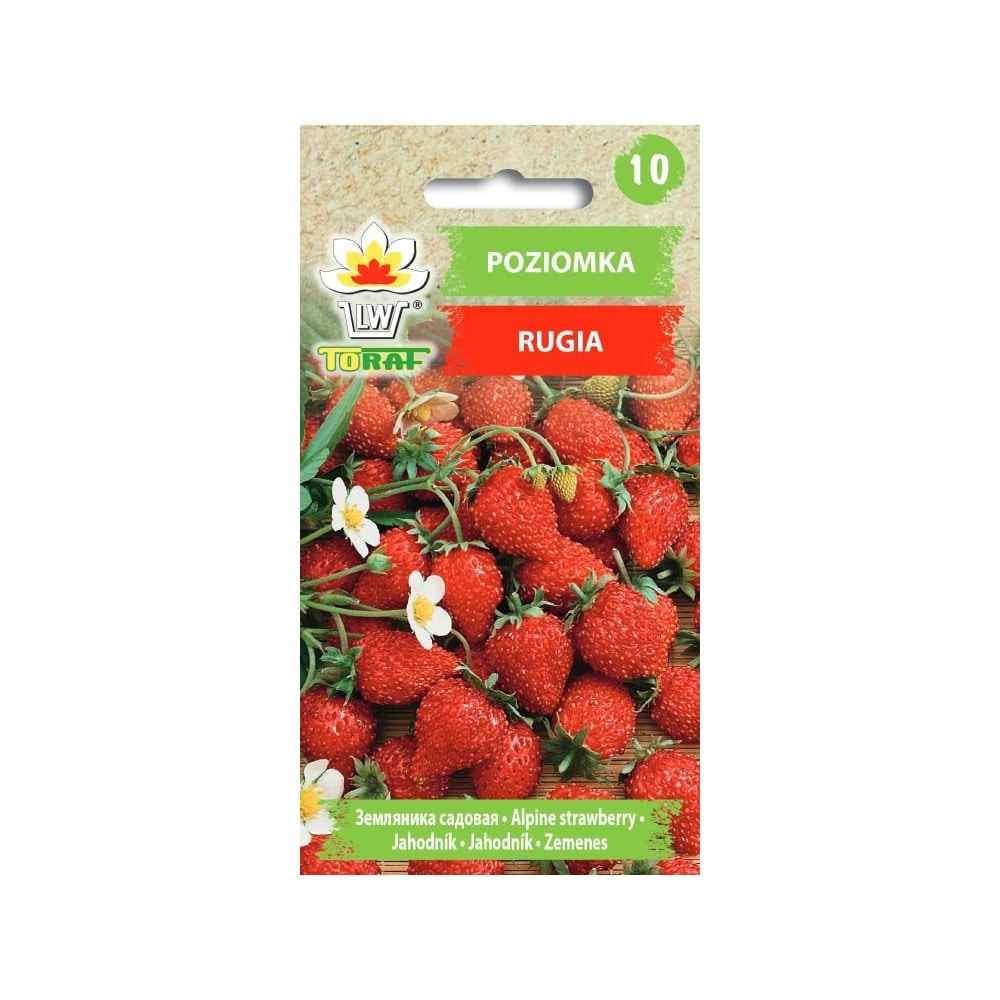 vilde jordbær Rugia