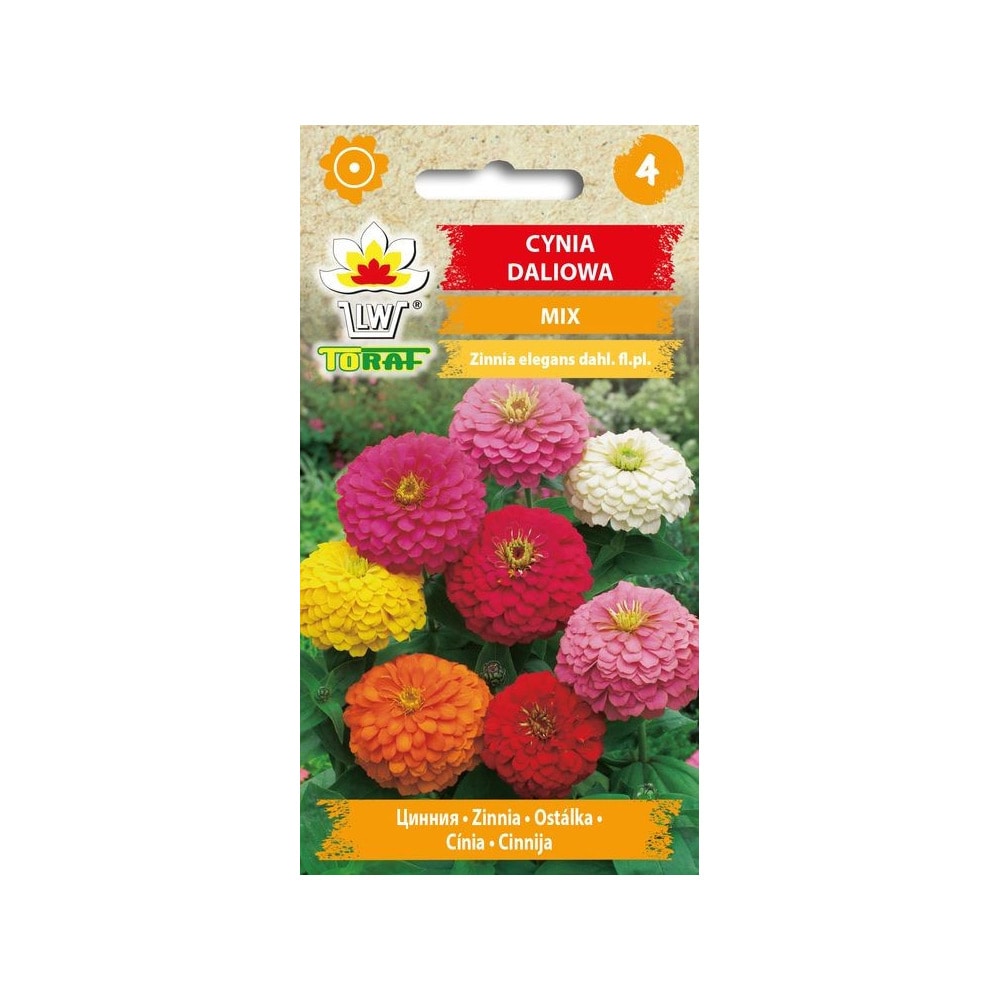 Zinnia Dahlia Mix