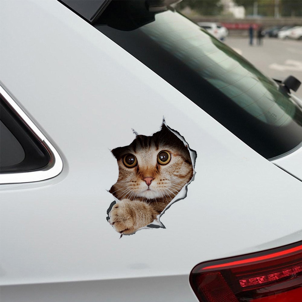 Klistermærke til bil - Kat med et sødt look