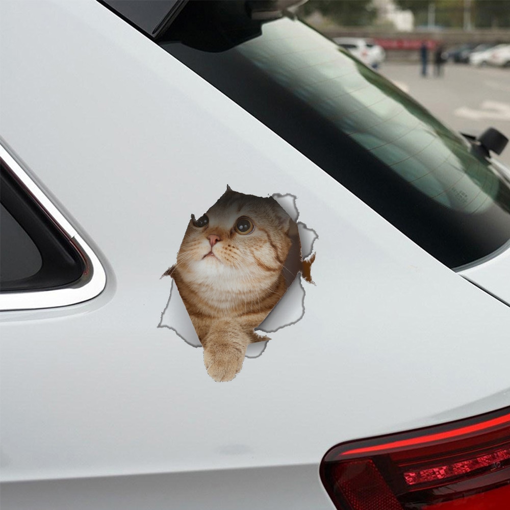 Klistermærke til bil - kat kigger op