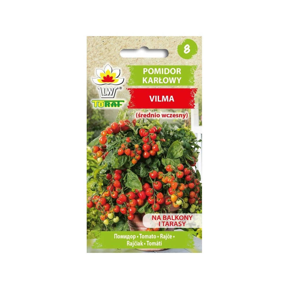 Kirsebærtomat Vilma