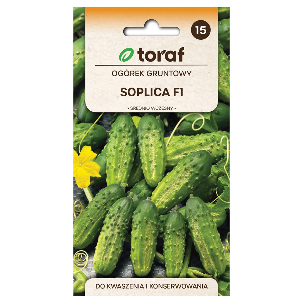 Agurkefrø Soplica F1 - Medium og højtydende til syltning