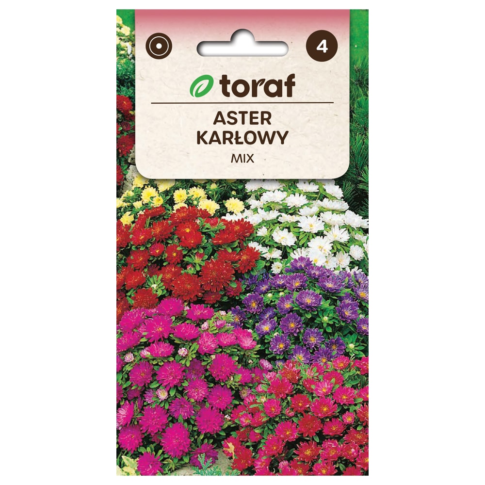 Frø til Dwarf Chinese Aster Mix - Lavtvoksende og rigtblomstrende aster