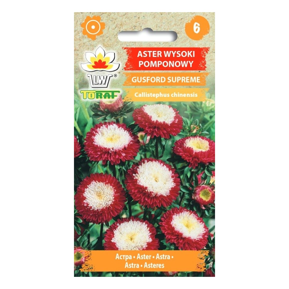 Asterfrø Gusford Supreme - Flerfarvede pomponblomster til blomsterbede og buketter