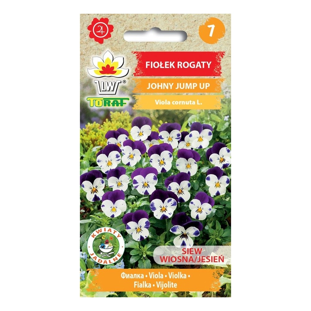 Hornviol frø Johnny Jump Up - Farverig og blomsterrig staude