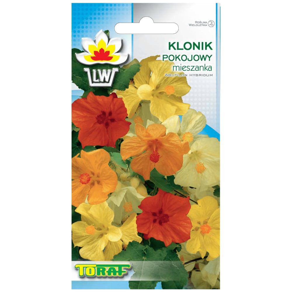 Bell Mallow Mix Seed - farverige blomster til indendørs og udendørs brug