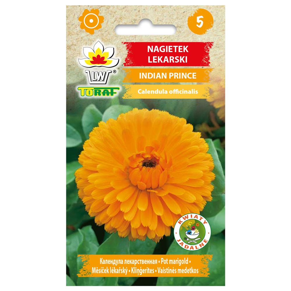 Morgenfruefrø Indian Prince - Dybt orange blomster med rød midte