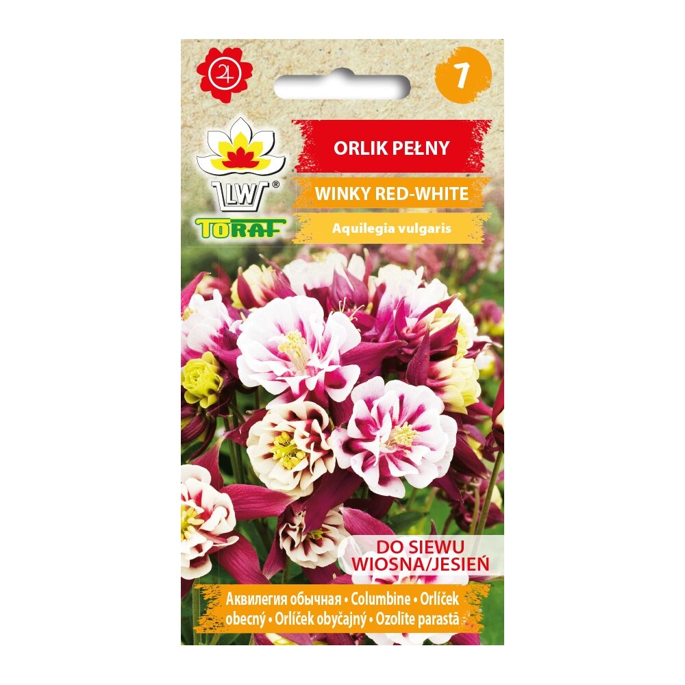 Winky Red White akelejefrø - fyldte blomster i rød og hvid