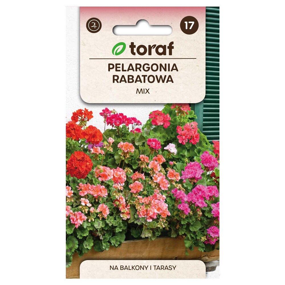 Zonal Pelargonium Mix Seed - Farverig og lang blomstring til krukker og bede