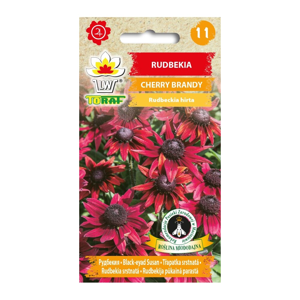 Rudbeckia frø Cherry Brandy - Dyb kirsebærrød blomst med mørk midte