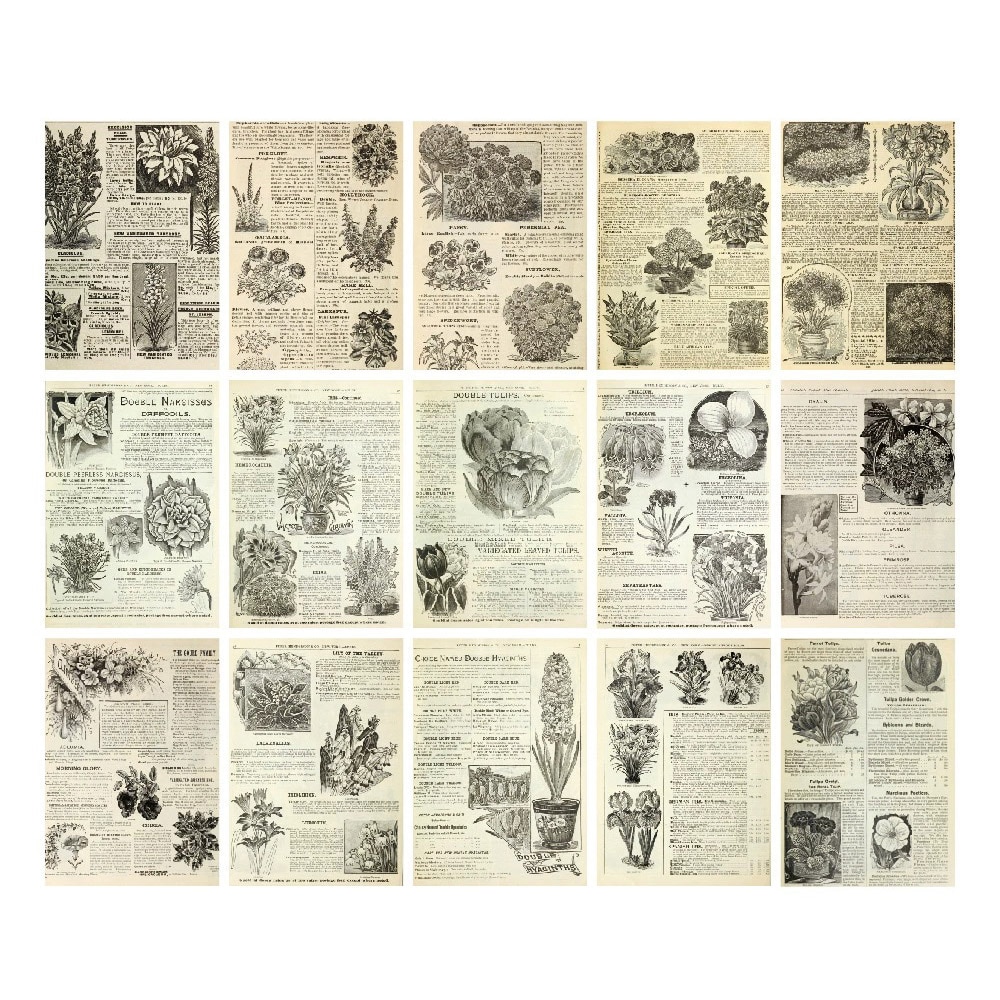 Scrapbookingpapir Herbs - 30 ark med botaniske motiver