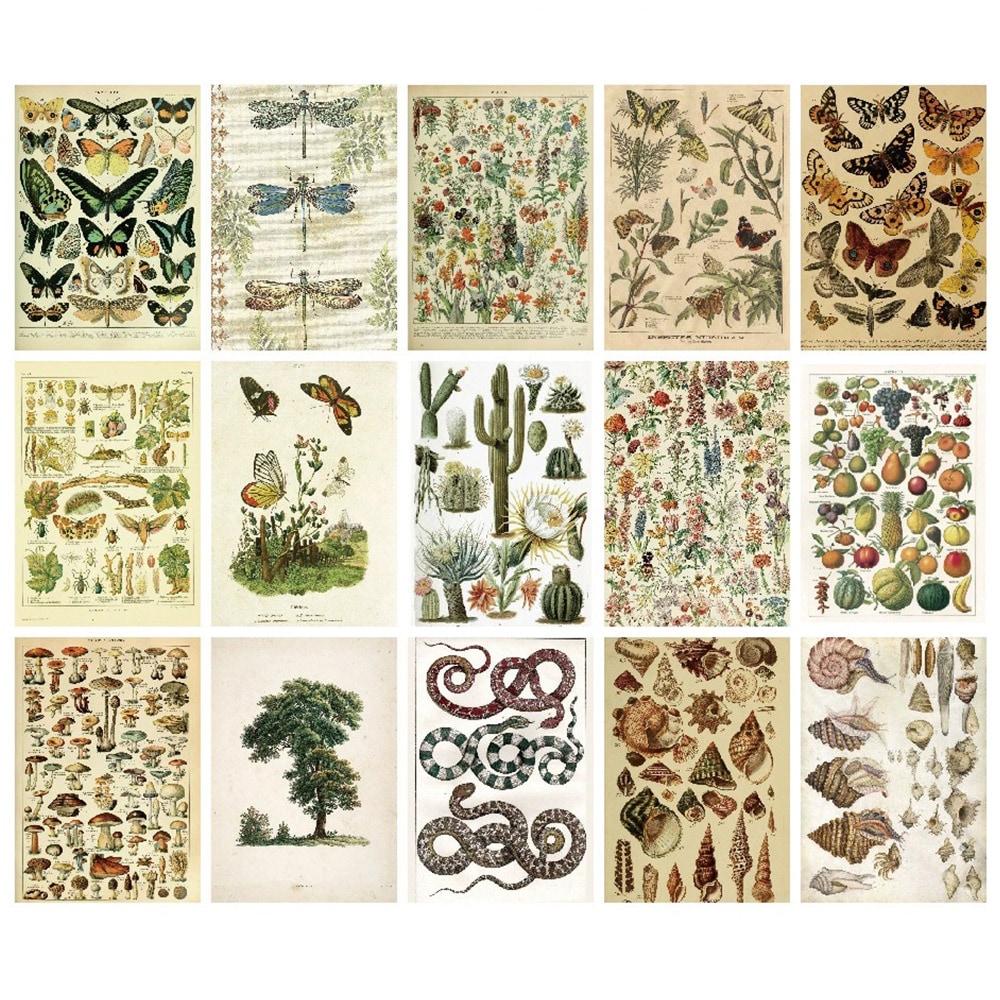 Scrapbookingpapir Everything Comes Back to Life - 30 ark med naturmotiv