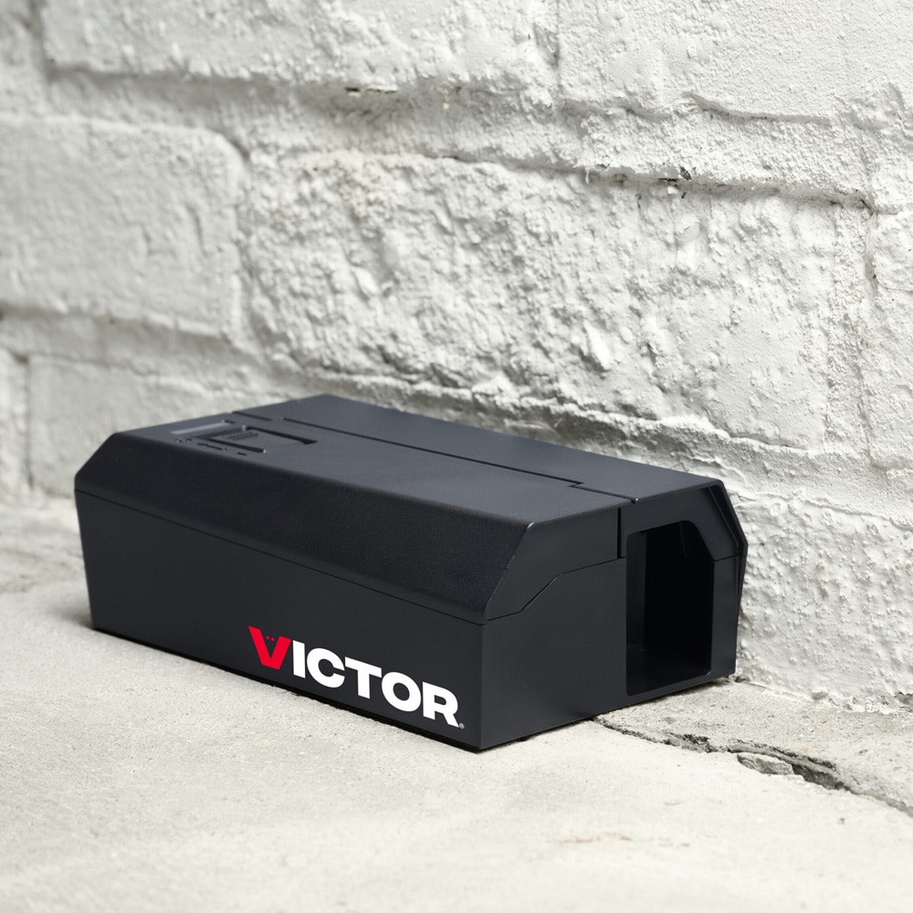 Elektrisk musefælde V2 med hurtigvirkende stødmekanisme