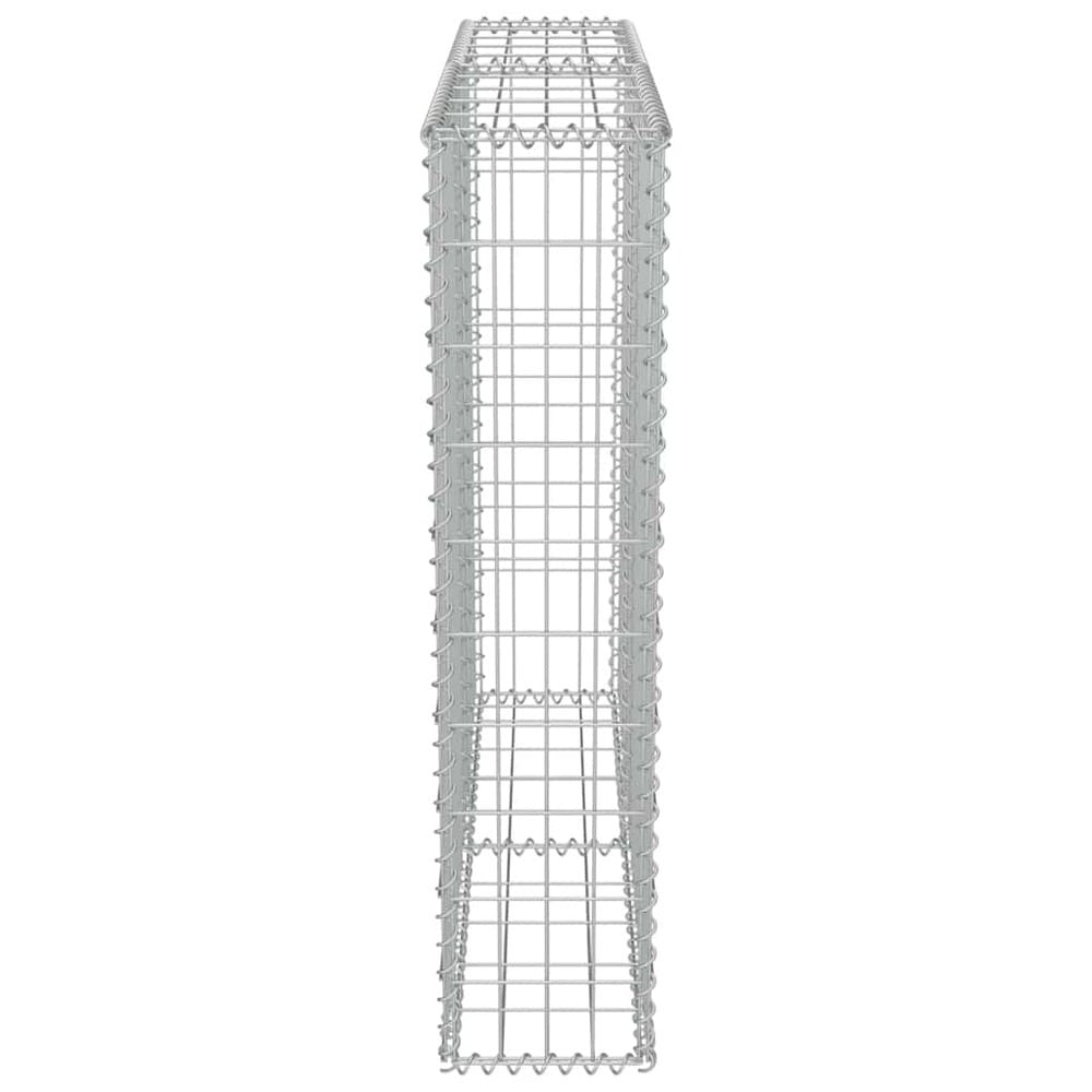Gabionmur 100×20×100 cm / gabionkurv i galvaniseret stål til sten og grus – Sølv