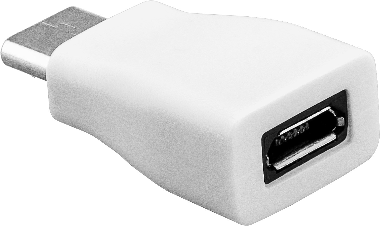 USB-C Adapter - USB 2.0 Micro B Port