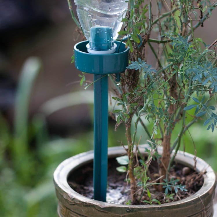 Automatisk vanding af potteplanter - vanding blomster med PET flaske