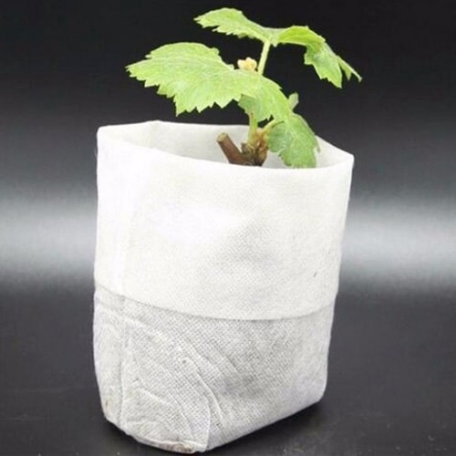 Planteposer i 100-Pak