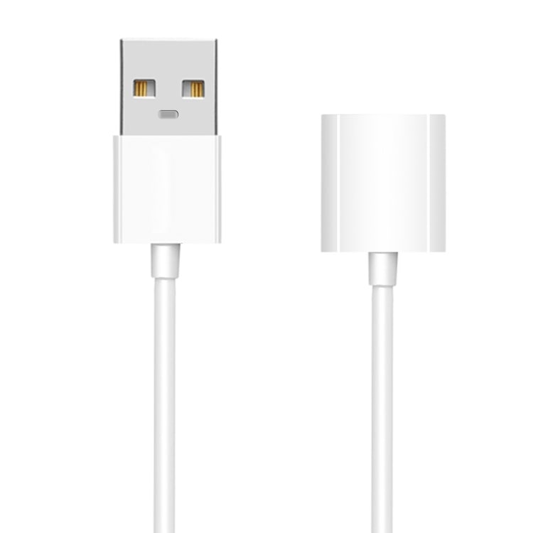 USB Ladekabel til Apple Pencil Hvid