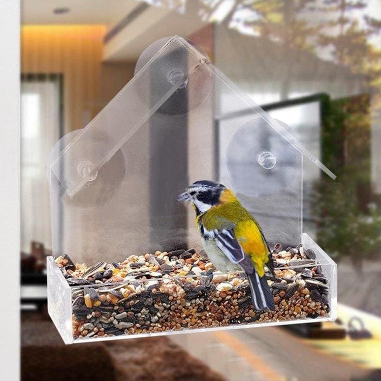 Fuglefodrer Hus Transparent