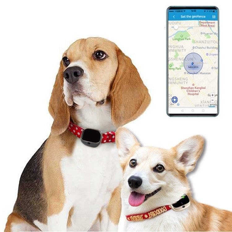 GPS + LBS + Wi-fi Tracker til Kæledyr