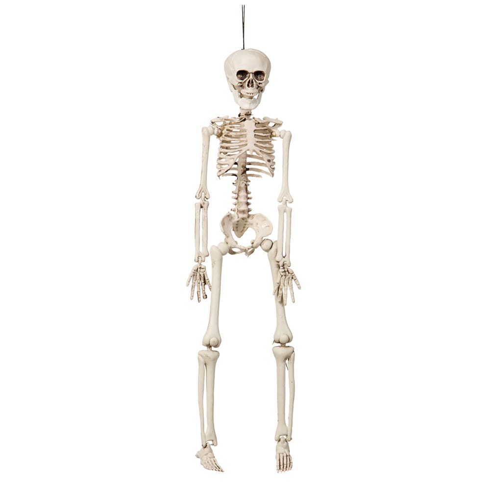 Hængende Skelet 42cm