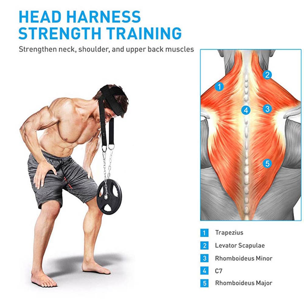 Gym Head Harness - nakketræner