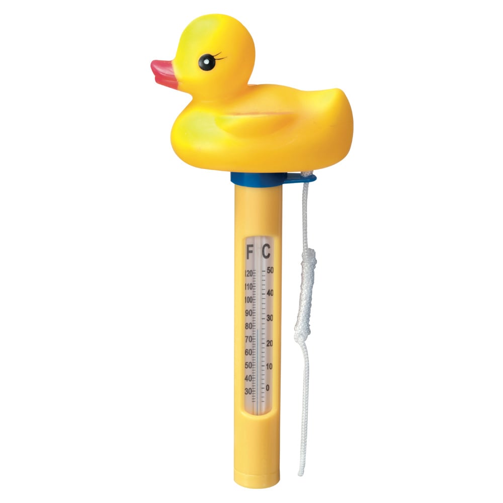 Swim & Fun Thermometer And