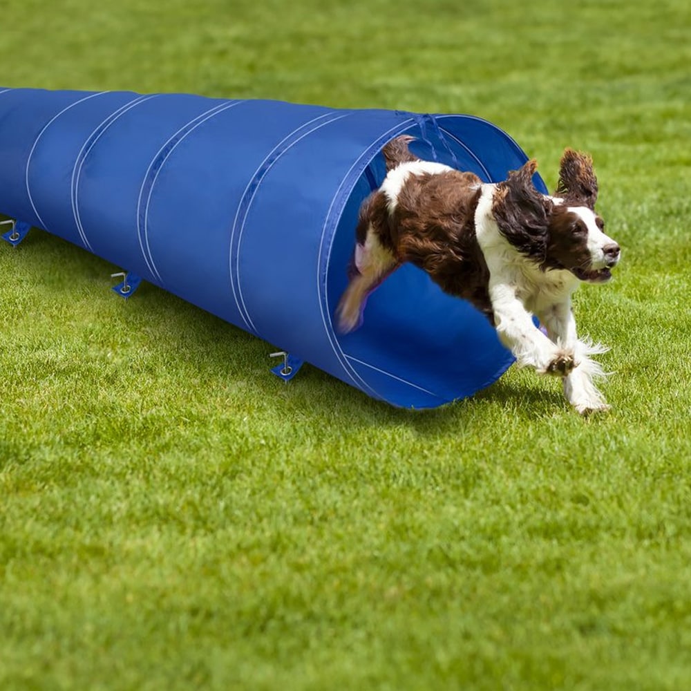 Hundetunnel til Agility 48 cm x 3 m