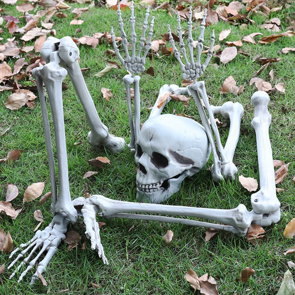 Skelet Halloween i 5 dele