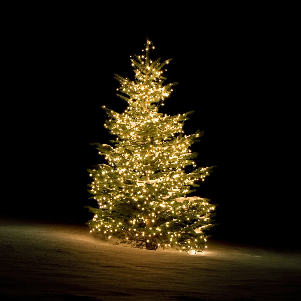 Deltaco Smart Home WiFi juletræsbelysning Varmt hvidt lys