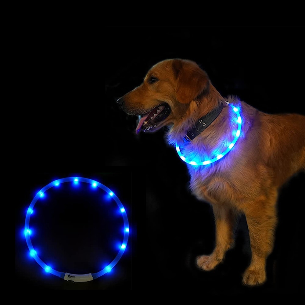 LED-halsbånd til hund - blå