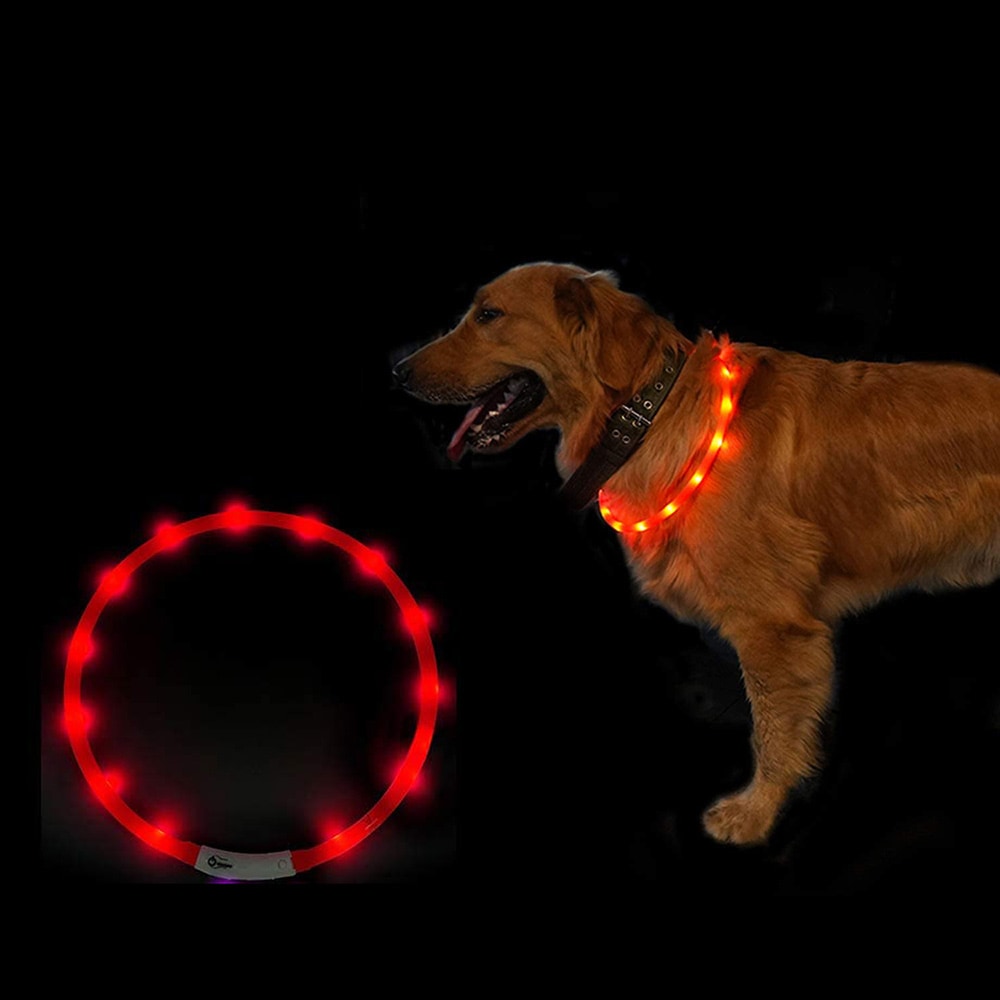 LED-halsbånd til hund - rød