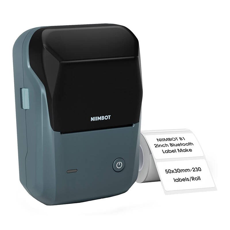 Niimbot B1 trådløs labelprinter (LakeBlue)