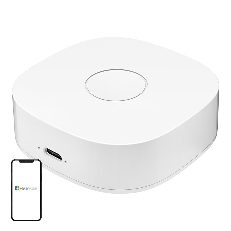 Smart hjem WS2GW-R WiFi