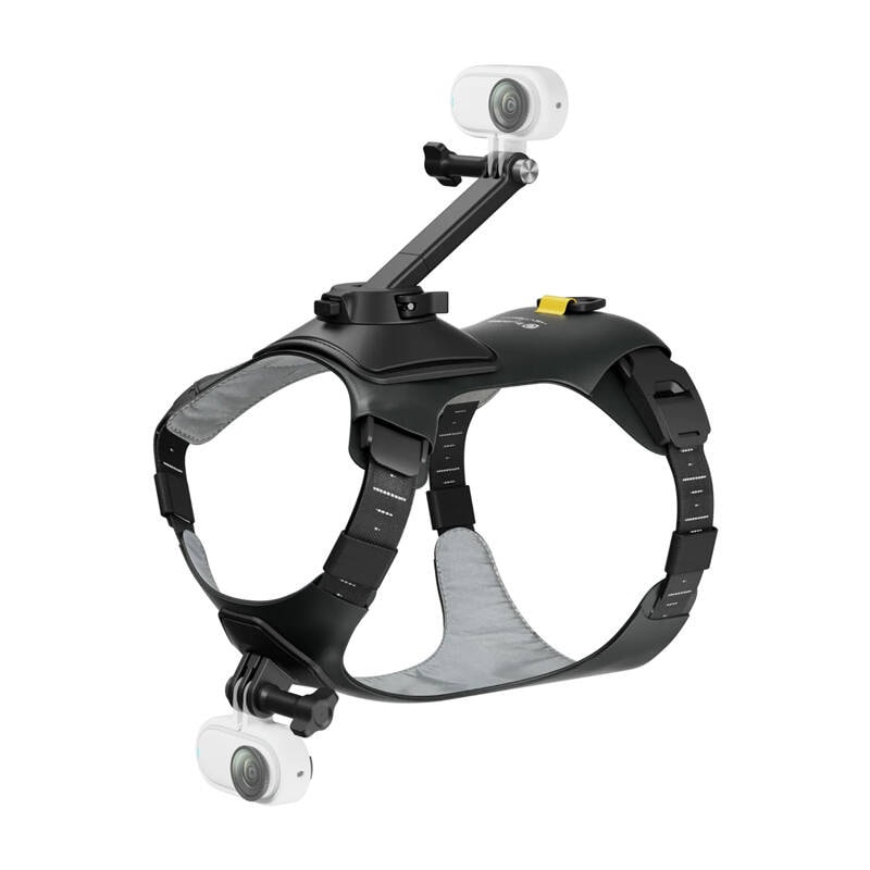 Kæledyrssele størrelse M til montering af Insta360 GO 3/ GO 3S-kameraer
