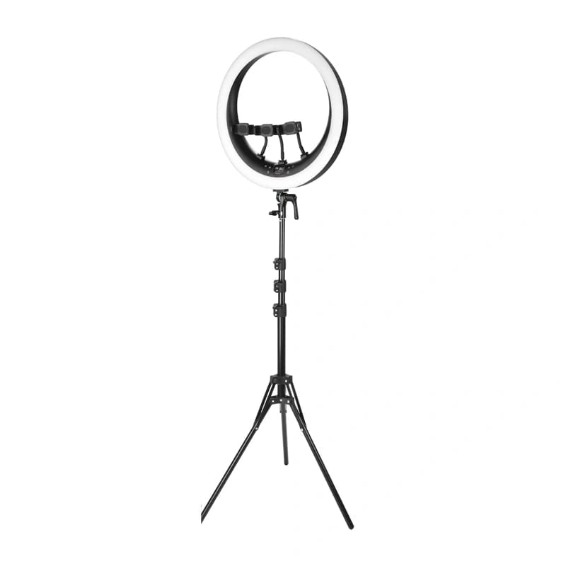 Ringlampe NEEWER RP19H